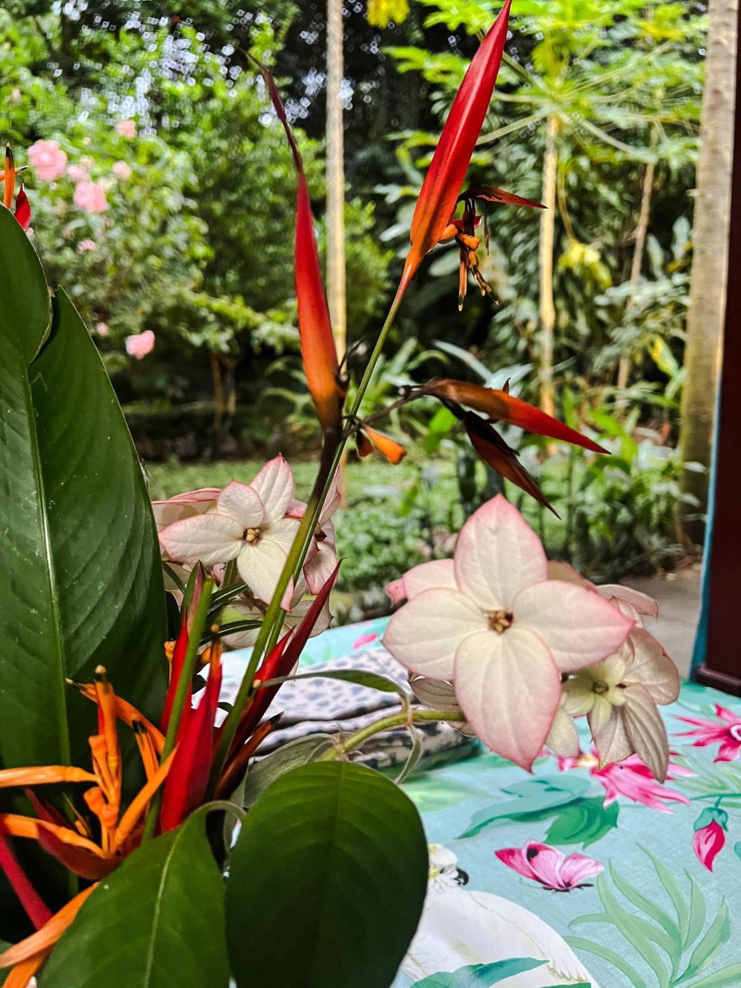 Casa Aldirica Hotel Cahuita Kültér fotó