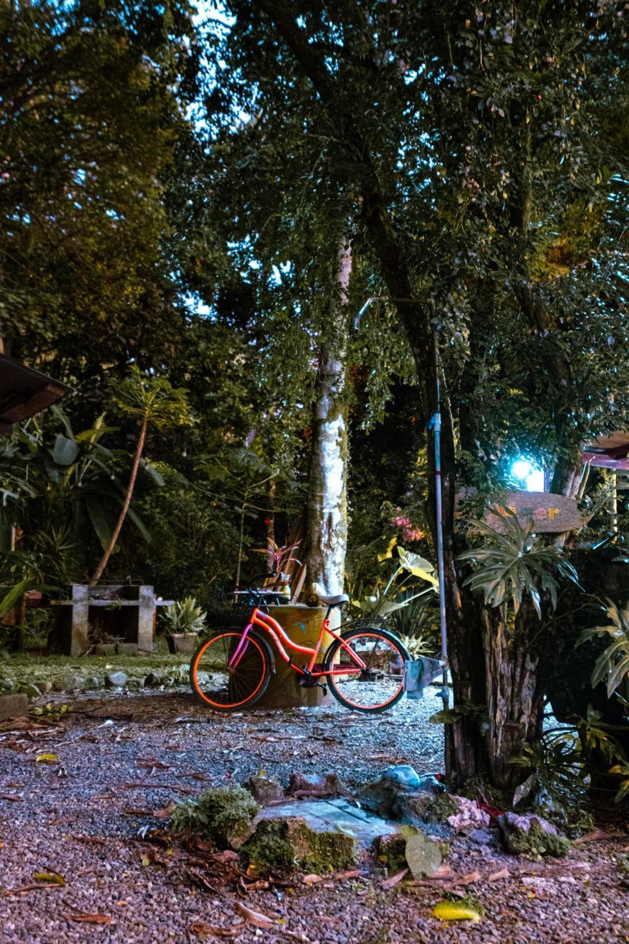 Casa Aldirica Hotel Cahuita Kültér fotó